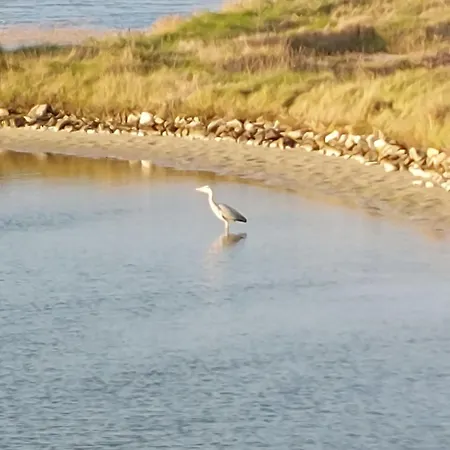 Vakantiehuis Charme De La Liniere By Interhome L'Herbaudiere