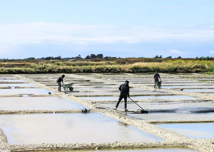 Charme De La Liniere By Interhome