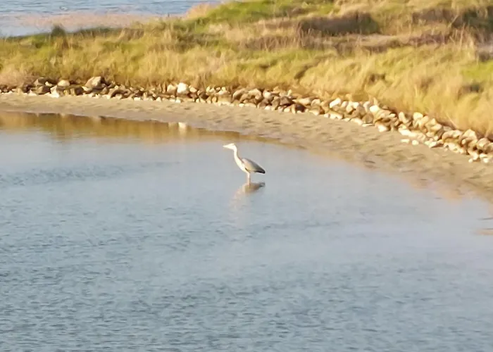Vakantiehuis Charme De La Liniere By Interhome L'Herbaudiere